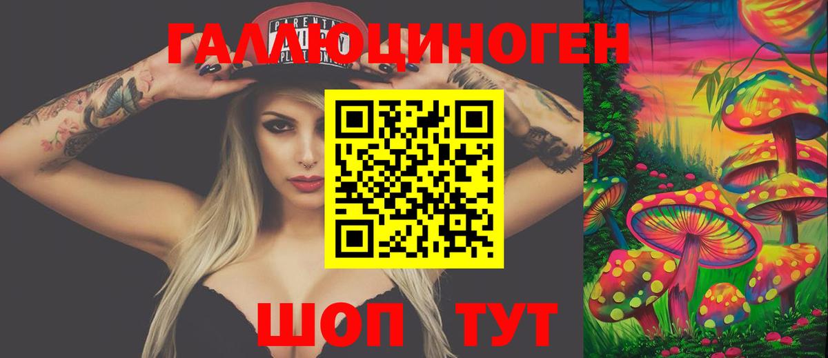 Псилоцибиновые грибы GOLDEN TEACHER Бор